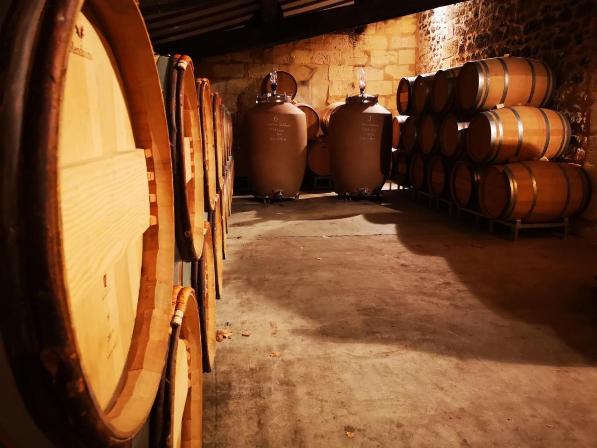 Chateau Cantelaube Σεντ Εμιλιόν Εξωτερικό φωτογραφία