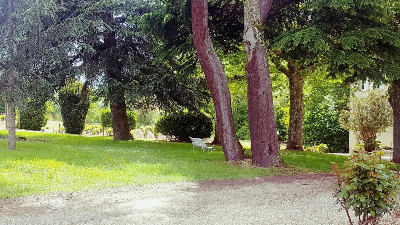 Chateau Cantelaube Σεντ Εμιλιόν Εξωτερικό φωτογραφία