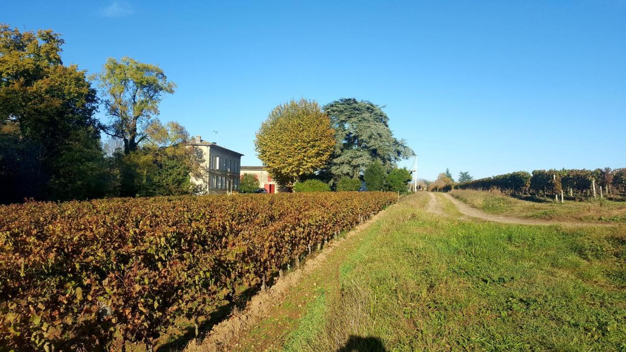 Chateau Cantelaube Σεντ Εμιλιόν Εξωτερικό φωτογραφία